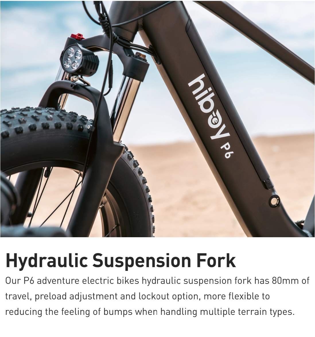 Hiboy P6 Fat Tire Electric Bike