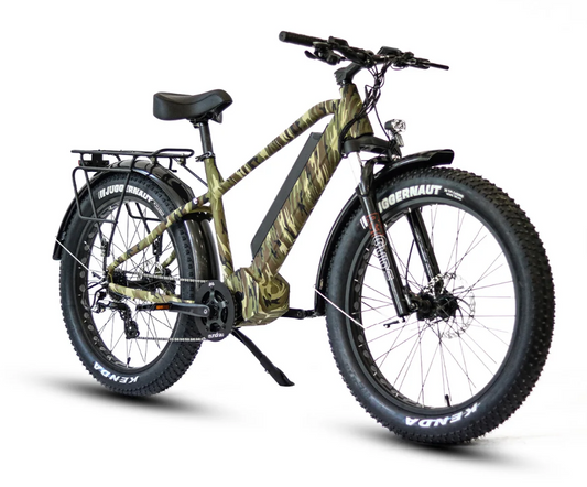 Eunorau Ebike FAT-HD 1.0 Pro