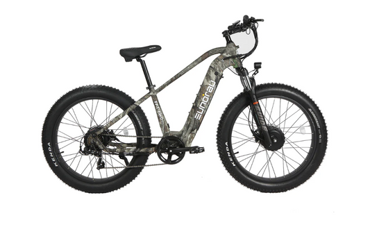 Eunoarau Ebike FAT-AWD 2.0